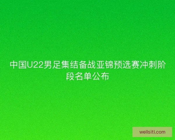 中国U22男足集结备战亚锦预选赛冲刺阶段名单公布