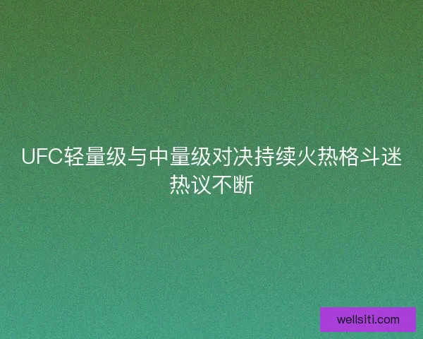 UFC轻量级与中量级对决持续火热格斗迷热议不断